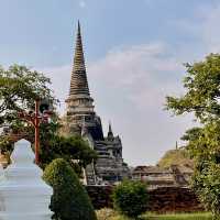 วิหารพระมงคลบพิตร อยุธยา 