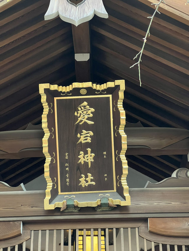 東京這樣玩才懂行：咖啡、神社、商店街一次走透透