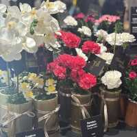 【韓国】聖水のお店が期間限定でpopup💐