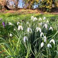 Spring by the Sea – Weymouth in Bloom
