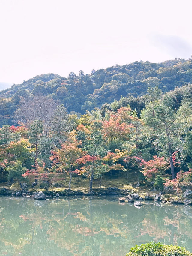 A Day in Arashiyama: Kimono Strolls, Temple Serenity & Tofu Delights🍃