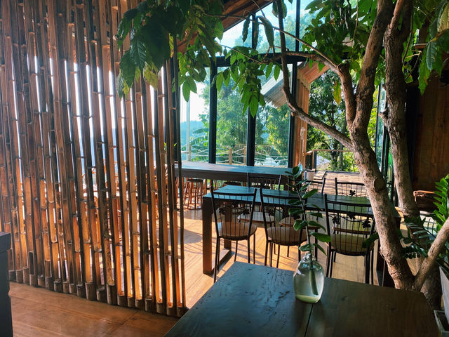 ร้าน YAYO FARM คอกาแฟ - คาเฟ่บนดอยช้าง