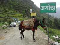 Dodital Trek—Hiking in Himalaya for the first time!