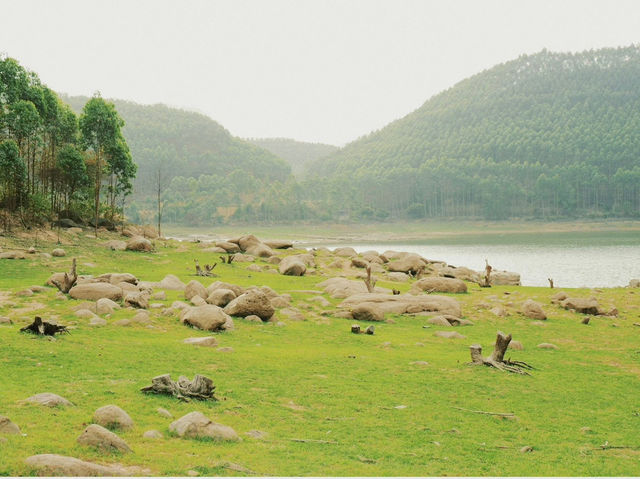 Suối Mỡ