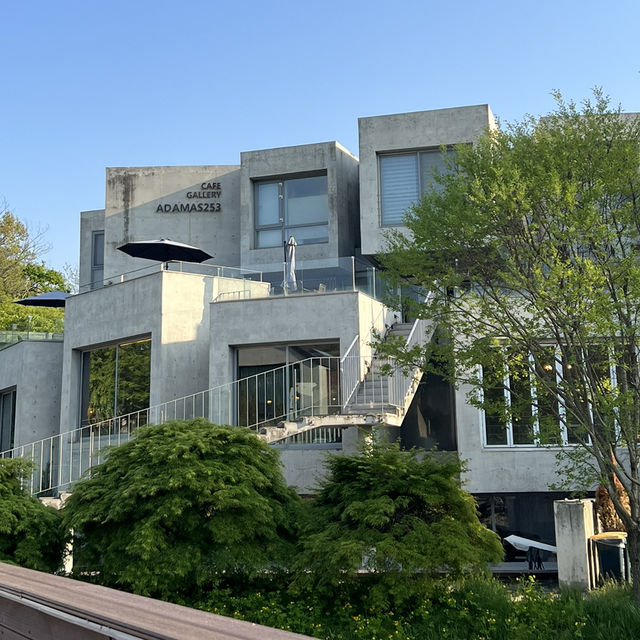 파주 헤이리 마을 미술관 같은 감성 카페🌳