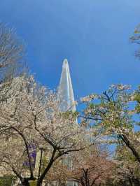 Seoul Day Trip Itinerary