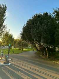 Hove Park