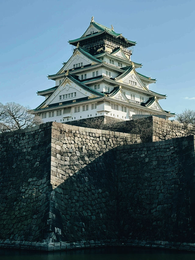 大阪 南海機場線｜大阪與世界的紫色快速連繫