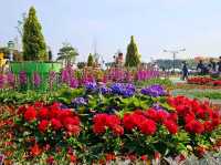 The flower festival at Ilsan Lake Park