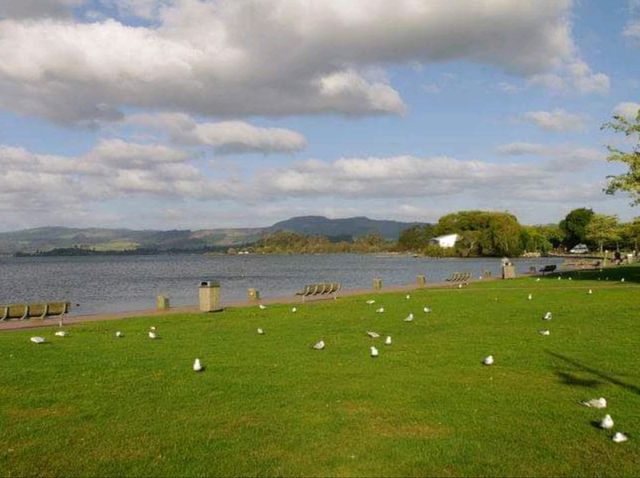 #羅託魯瓦湖Lake Rotorua-紐西蘭羅託魯瓦