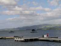 #羅託魯瓦湖Lake Rotorua-紐西蘭羅託魯瓦