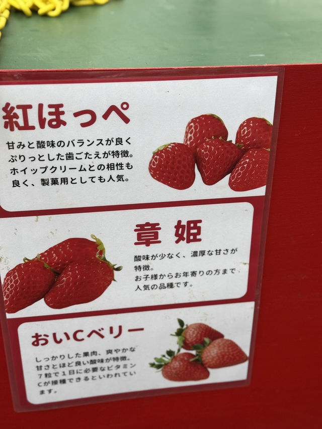 #大阪京都 50分鐘即摘即食🍓放題食到飽😍大滿足❣️ 