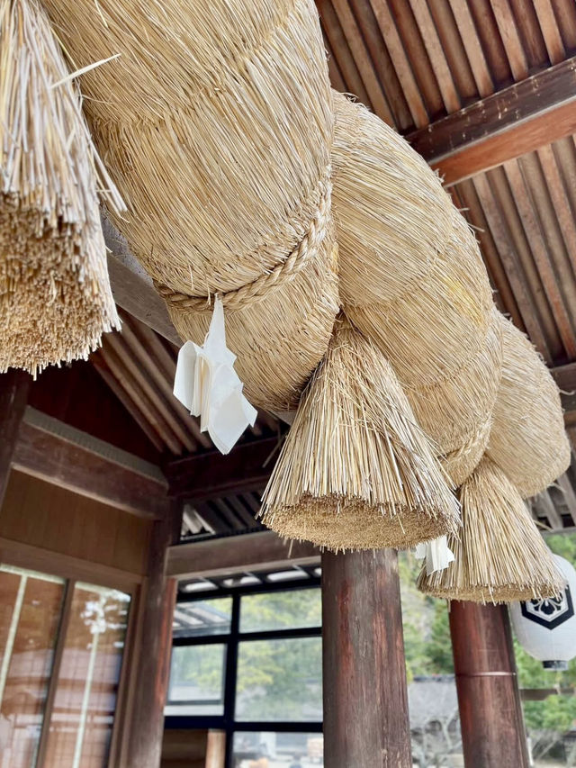 A Weekend in Izumo – Shrines, Stories & a Stay with Soul