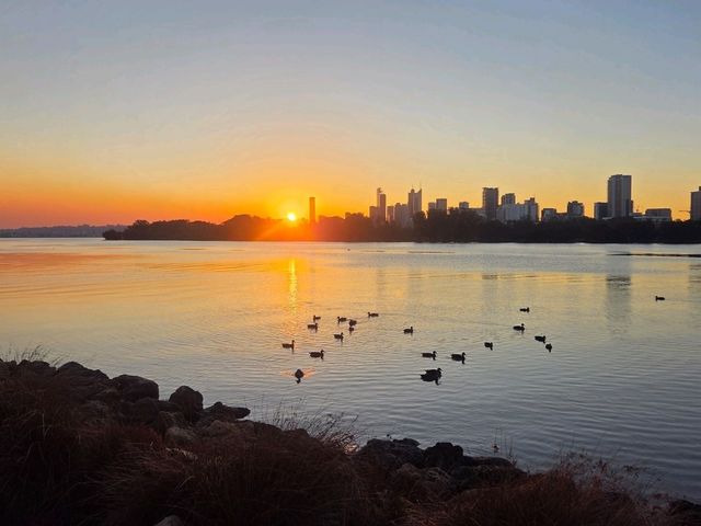 McCallum Park, Perth Western Australia 