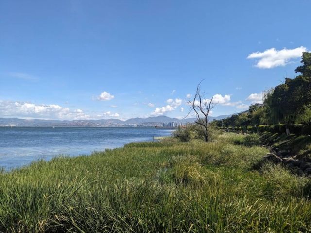雲南 | 洱海公園，登頂昔日南詔國王養鹿之地，遠眺洱海美景。