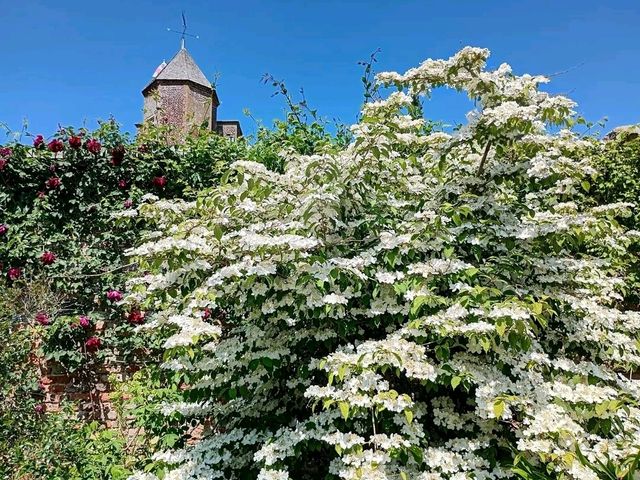 Romance in Bloom: A Day at Sissinghurst Castle Garden, Kent