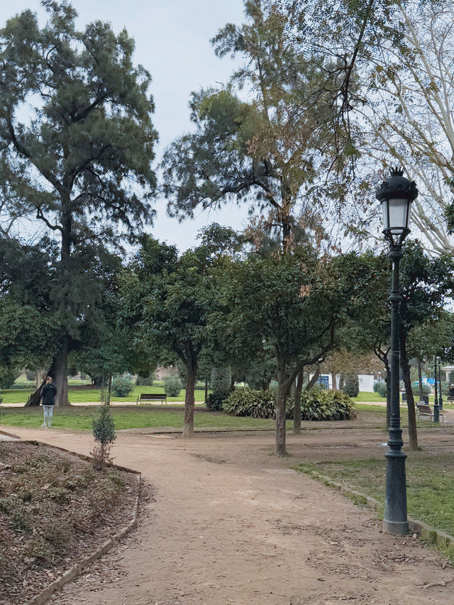 바르셀로나 유럽 감성 공원🌴🌳