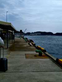 🏝🍛🏮히타카츠 1일 여행 추천 -가장 가까운 일본, 히타카츠에서 마주한 낯선 일상