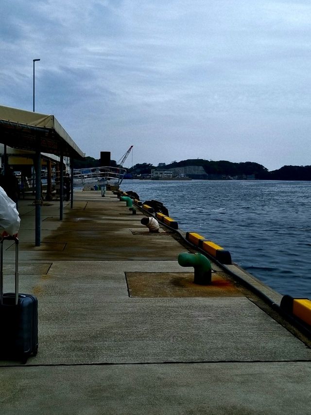 🏝🍛🏮히타카츠 1일 여행 추천 -가장 가까운 일본, 히타카츠에서 마주한 낯선 일상
