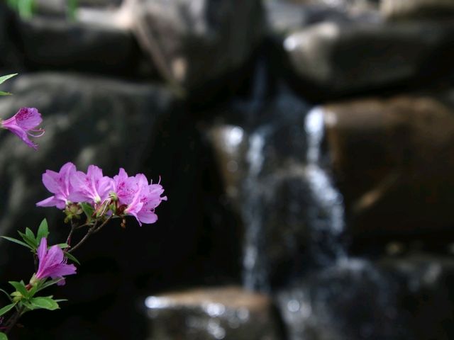 의외로 볼거리 많은 남산 한옥마을, 게다가 무료