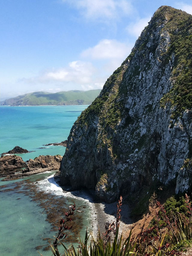 📍紐西蘭。南島【海風與金塊之歌】Nugget Point：在世界的邊緣與自然共舞