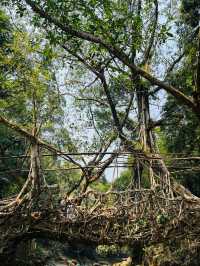 🌿 A Journey Through the Clouds: My Trip to Meghalaya