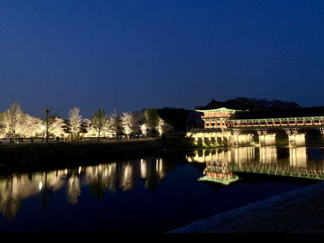 Moonlight & Cherry Blossoms – A Magical Night at Woljeonggyo Bridge