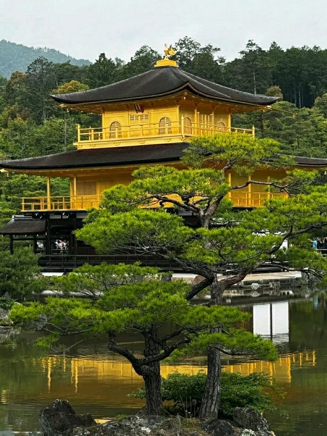 Kinkaku-ji: The Golden Pavilion of Kyoto