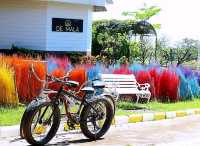 เดอ มาลา คาเฟ่และที่พักซ่อนตัวอยู่ท่ามกลางธรรมชาติ