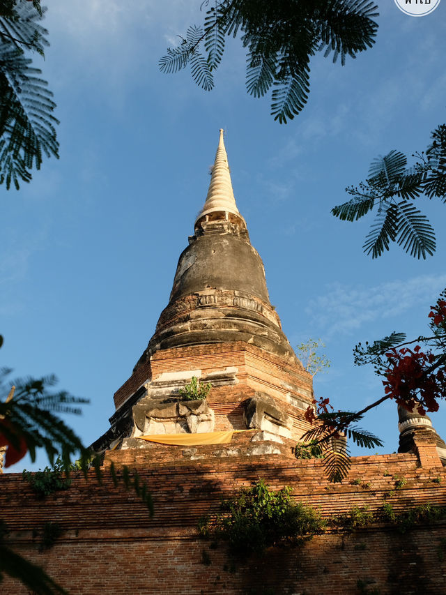 วัดดุสิดาราม อยุธยา: วัดเล็กเงียบสงบใกล้วัดอโยธยา