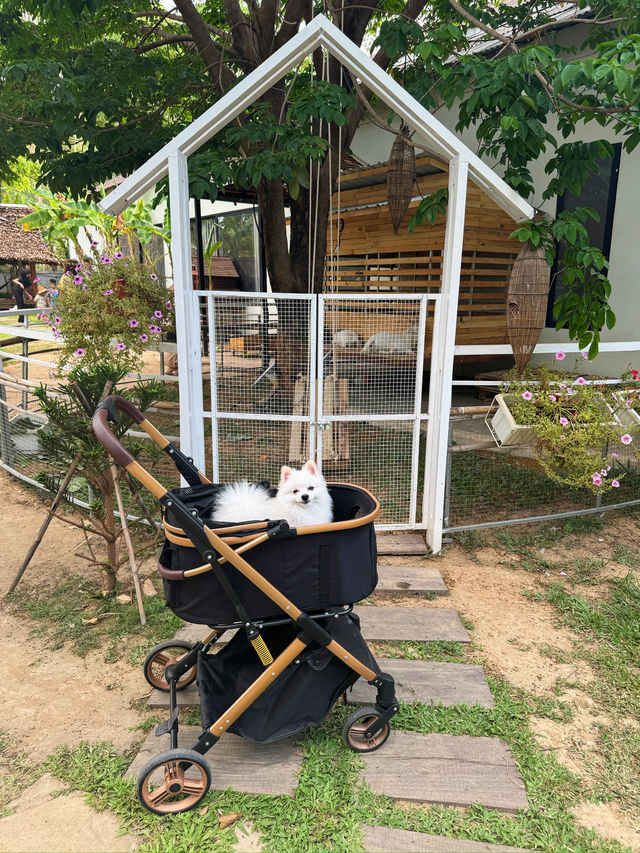 Beautiful restaurant in Siem Reap!