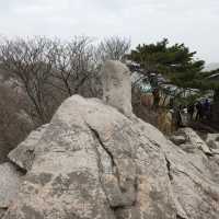 계룡산 코스 : 갑사, 삼불봉, 관음봉, 은산폭포까지 정복🌳