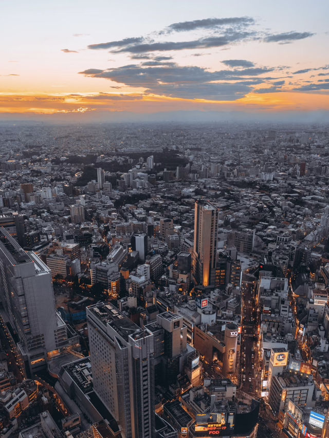 澀谷區天空之城💕SHIBUYA SKY