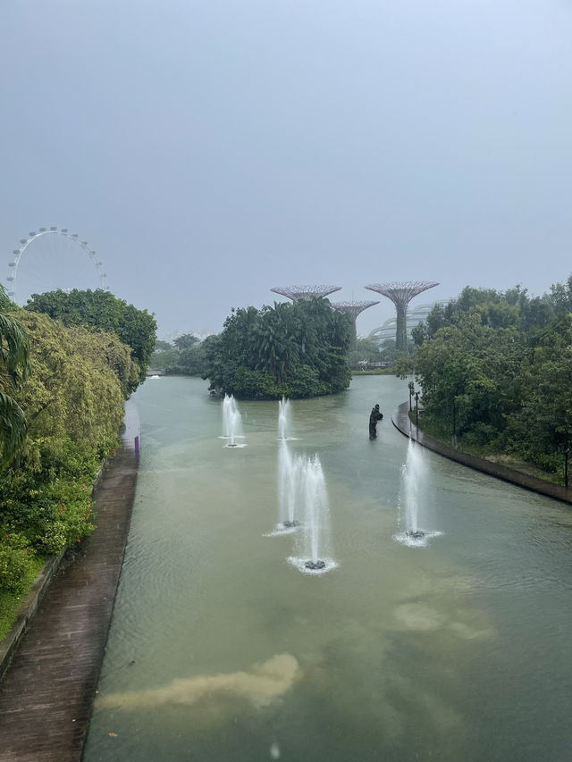 ☀️ Day in Singapore: 반짝이는 도시에서의 하루