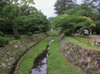 【島根県】  全国の神々が集う神秘の古社『出雲大社』⛩️