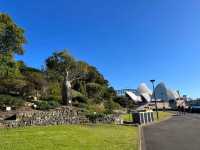 Royal Botanic Garden Sydney – Scenic, Spacious, and Free!