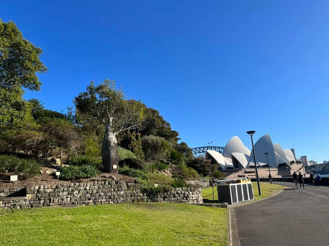 Royal Botanic Garden Sydney – Scenic, Spacious, and Free!