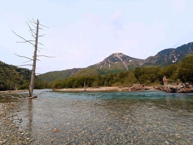 長野 | 上高地，猶如歐洲般，日本人都愛來的絕美仙境