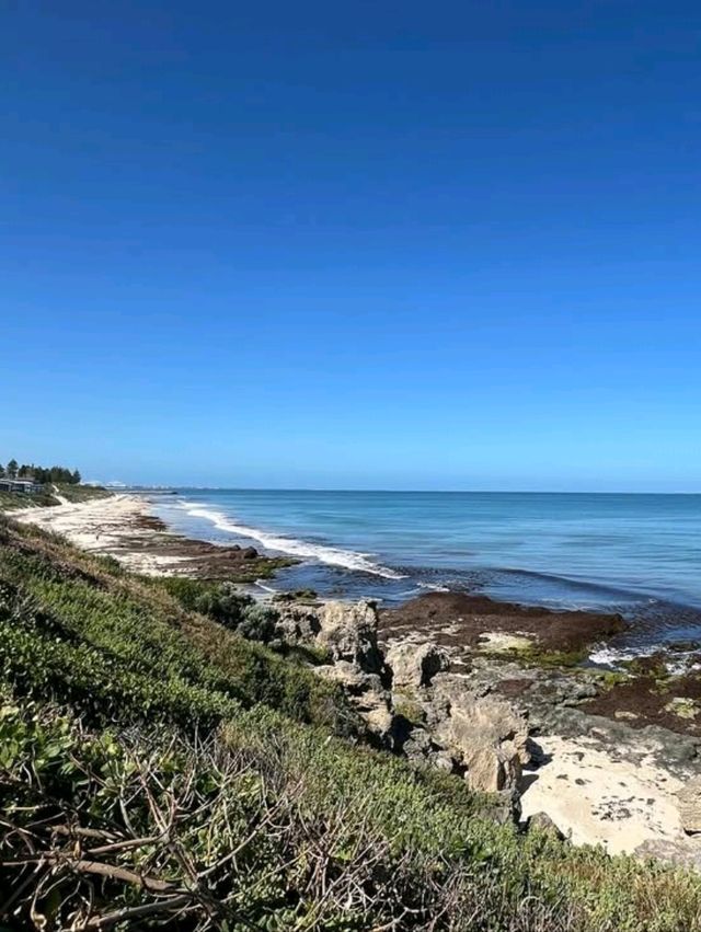 🏝️ Coastal Charm Unleashed: Fall in Love with Cottesloe Beach, Perth! 🌅🌊
