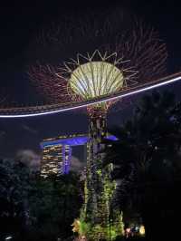 10 most visiting places in Singapore 🇸🇬 