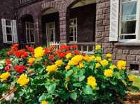 Ueno Park – Tokyo’s Green Gateway to Culture and History
