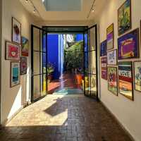 🌵✨ Jardin Majorelle: Marrakech’s Oasis of Art & Botanic Beauty