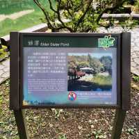 🌿阿里山姊妹潭｜靜謐如詩的山林秘境