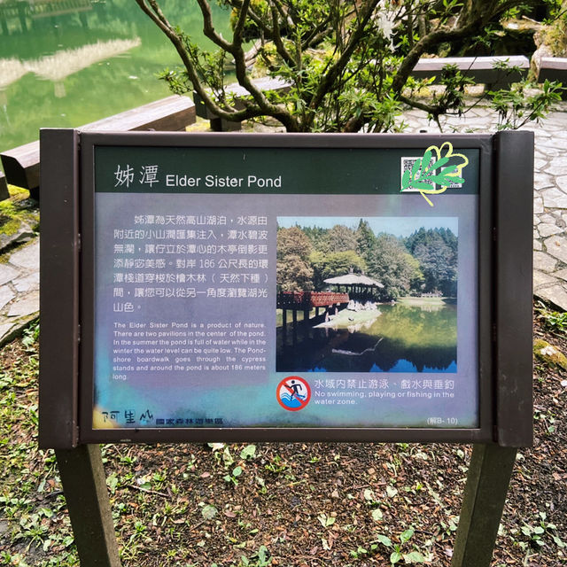 🌿阿里山姊妹潭｜靜謐如詩的山林秘境