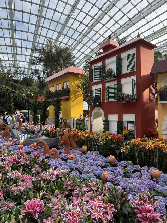 Flower Dome💐🌸🌺🌻