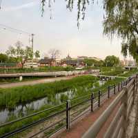 💙 Suwon | One of My Top 3 Favorite Korean Cities 🇰🇷