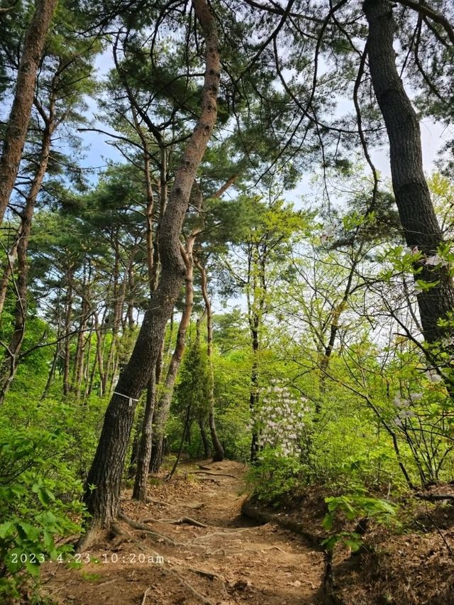 Seongnam from Isubong Peak Hits Different