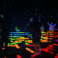 First Live Visit to My Favorite Light Art Museum — teamLab!
