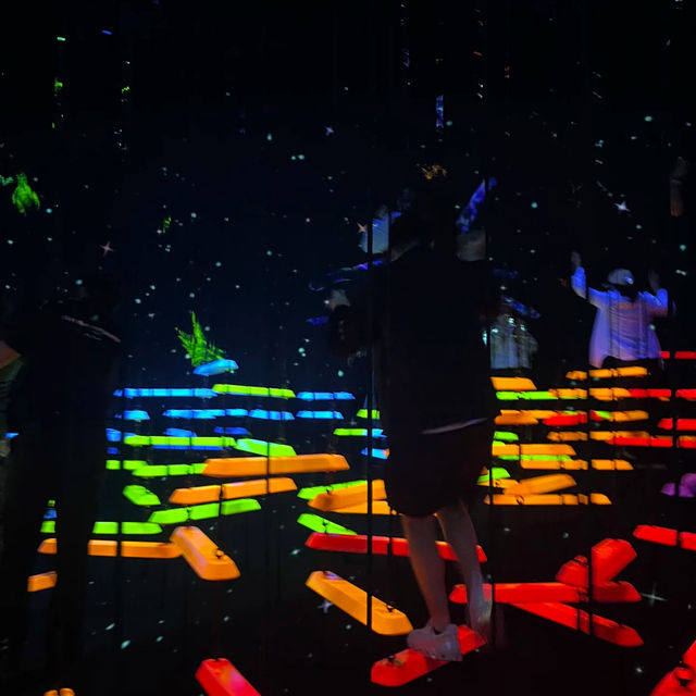 First Live Visit to My Favorite Light Art Museum — teamLab!