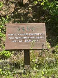 🌳 자연 속에서 만나는 배움과 휴식, 미동산수목원